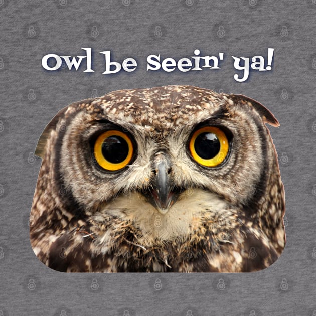 Owl be seein' ya! by Spine Film